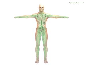 Cập nhật về Phù bạch huyết